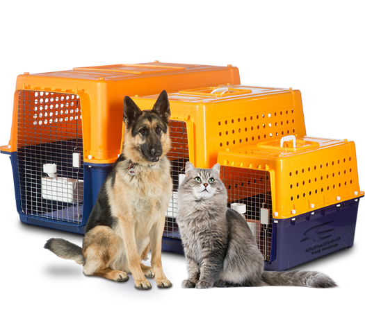 Pet Shipping